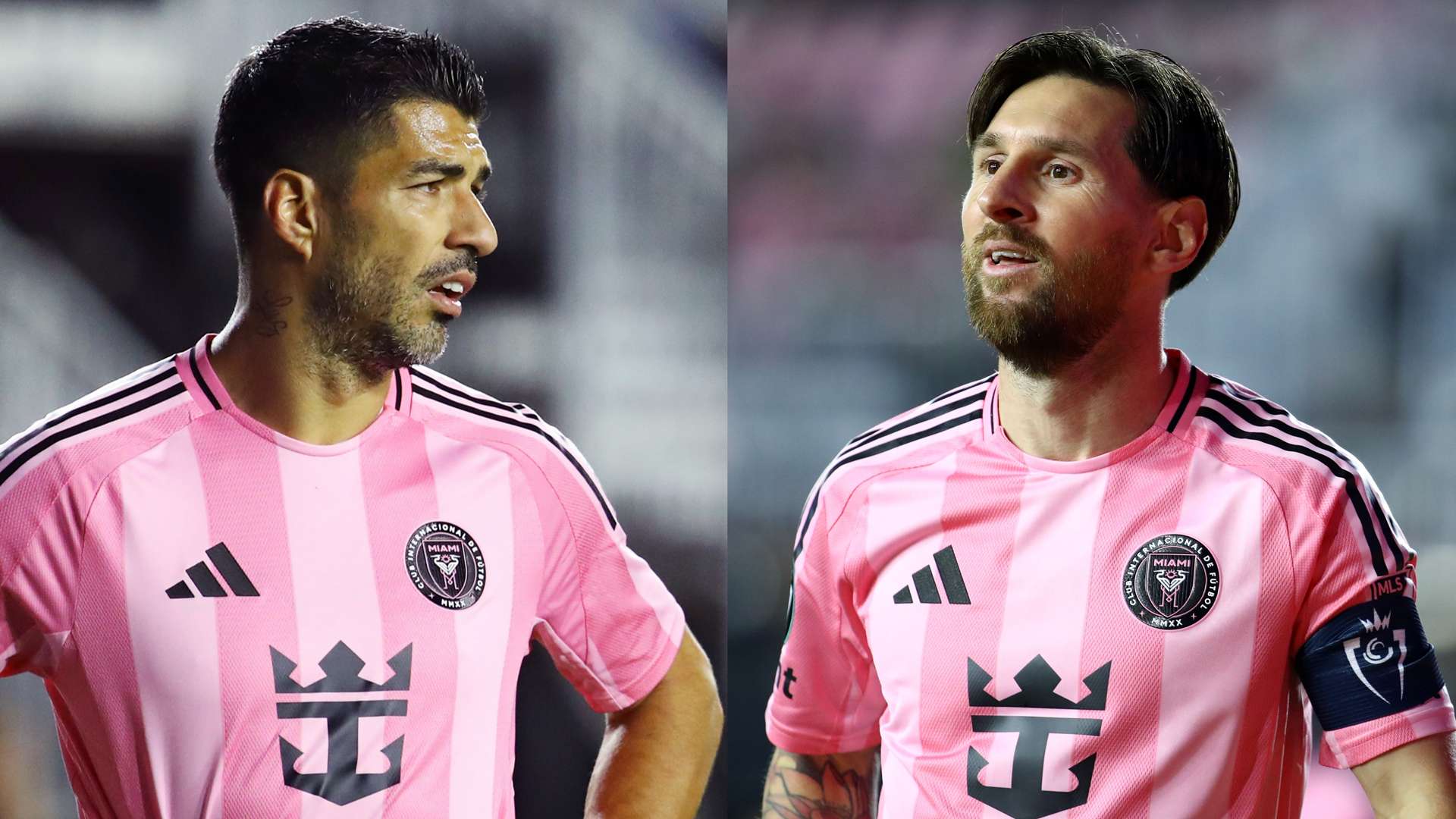 作为一名已 作为一名已