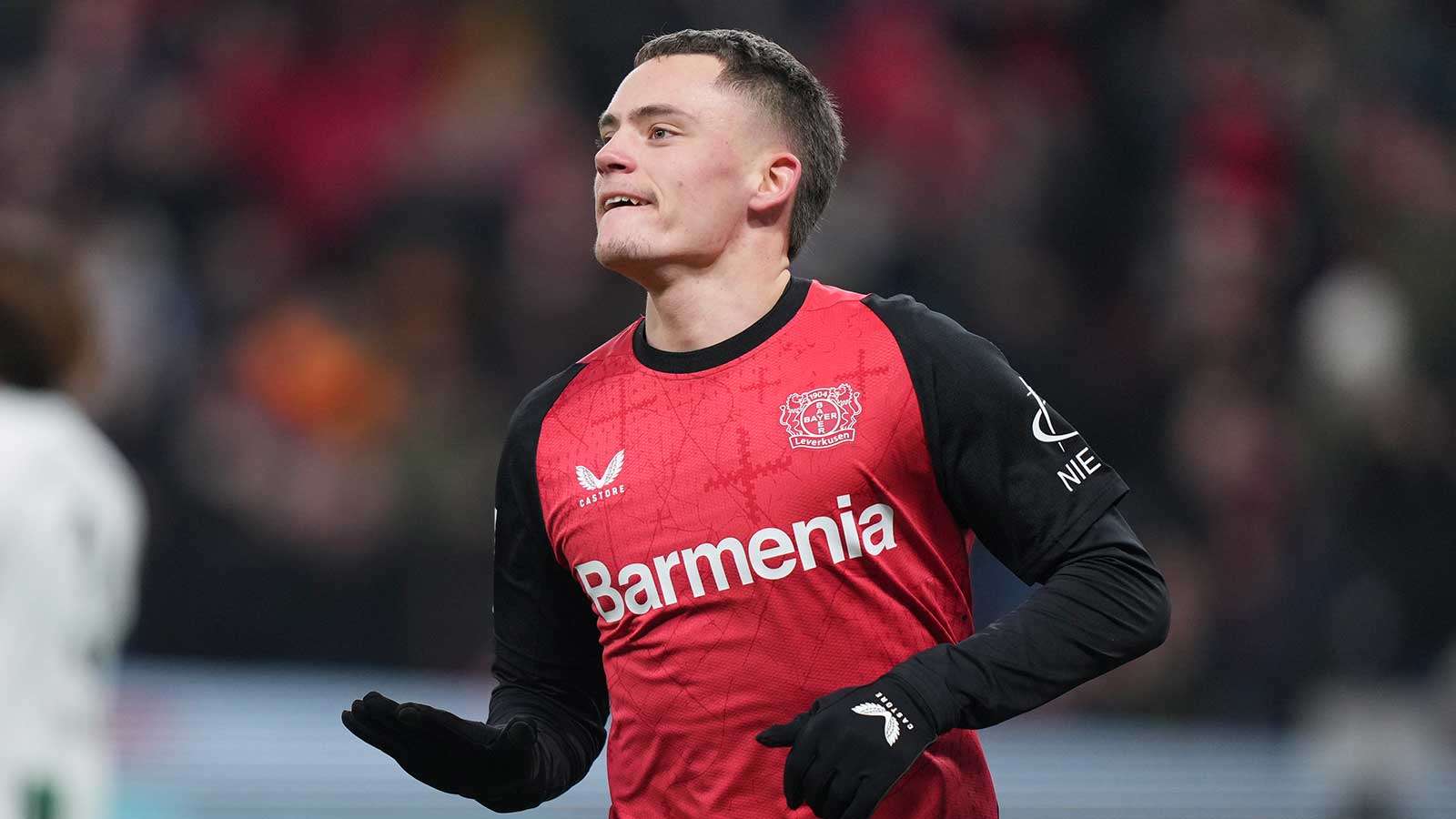 球迷的支持 球迷的支持