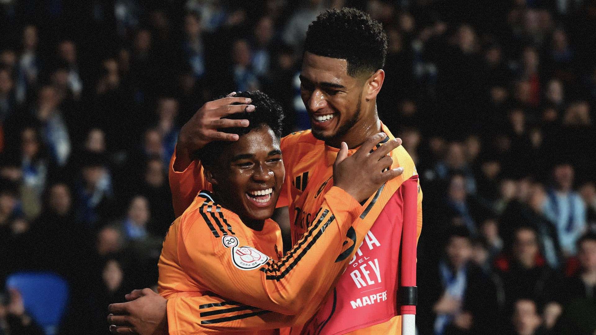 他們不僅需 他們不僅需