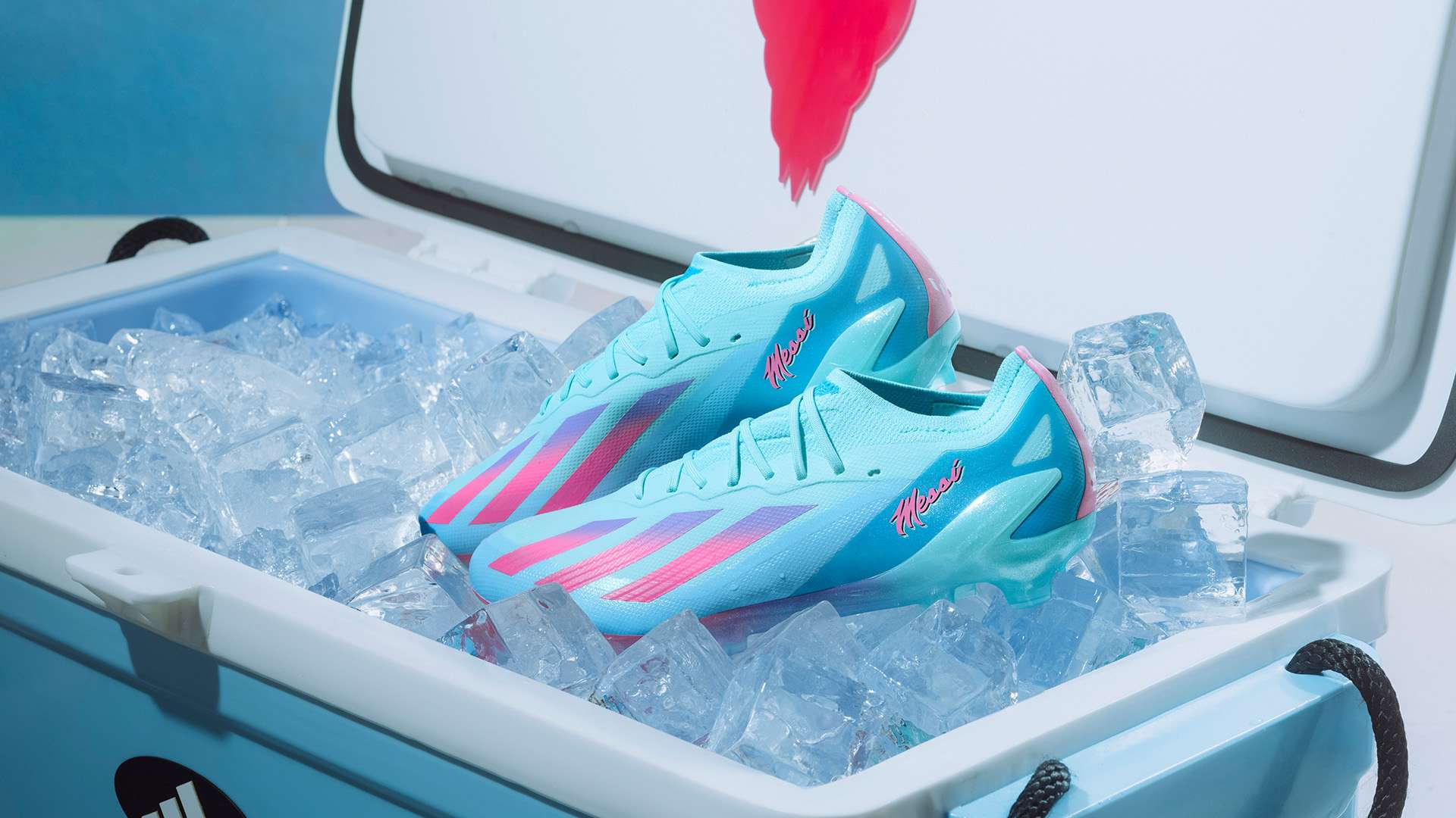 疑为两队今 疑为两队今