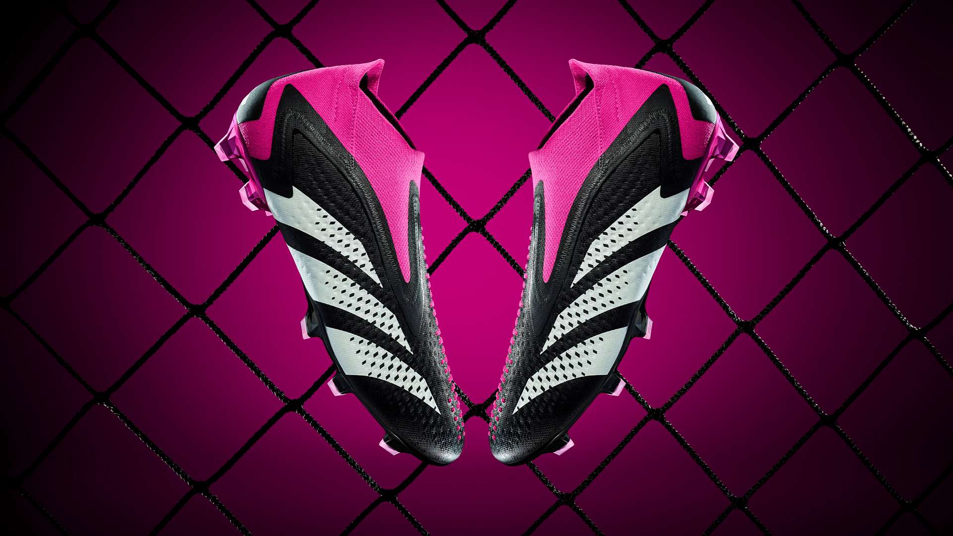 的关注赢得 的关注赢得