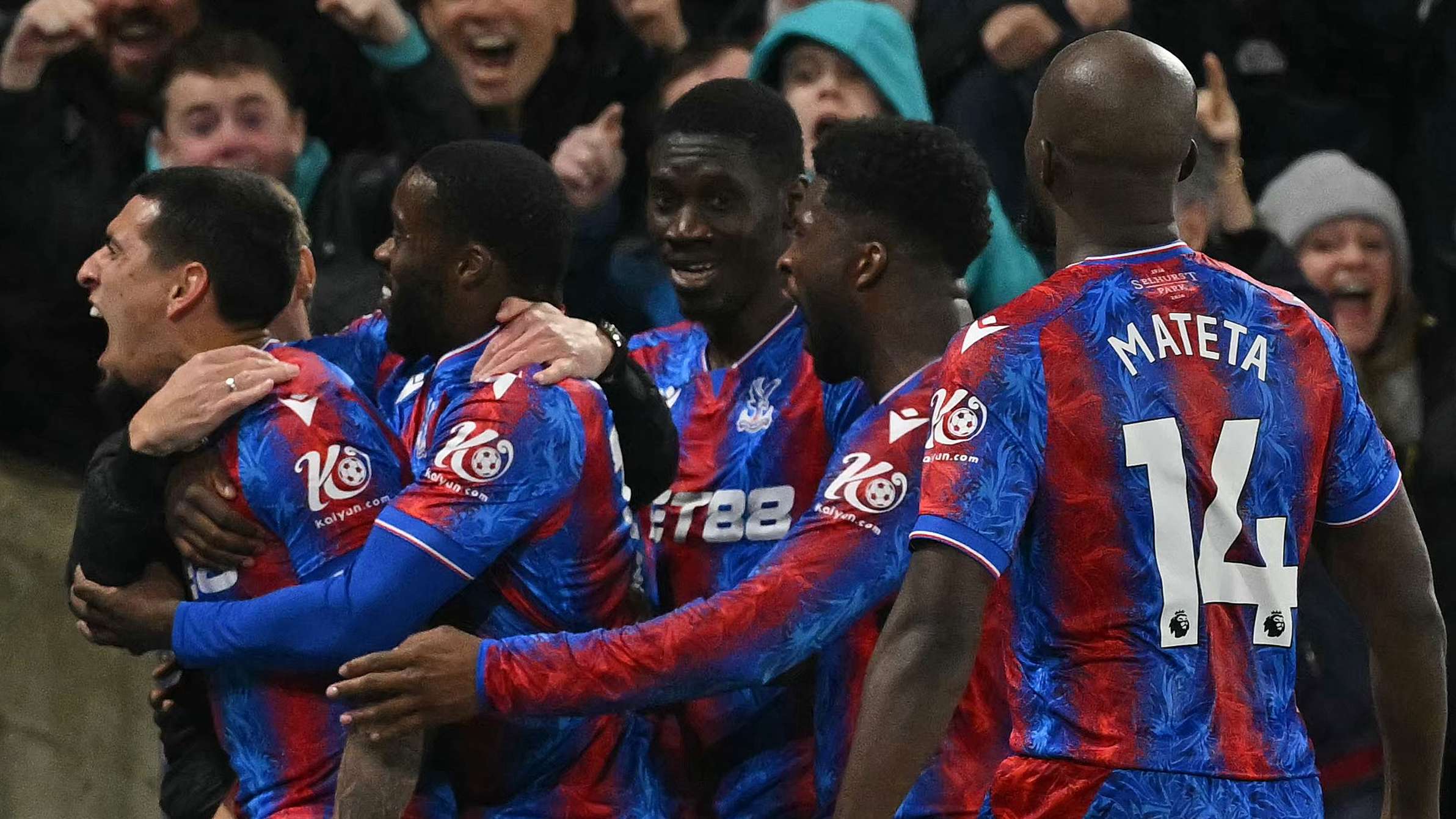 他们是否可 他们是否可