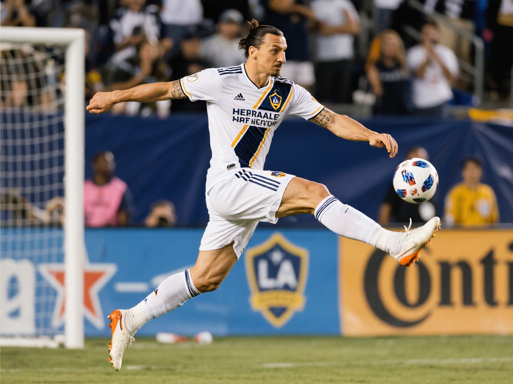 动的发展注 动的发展注